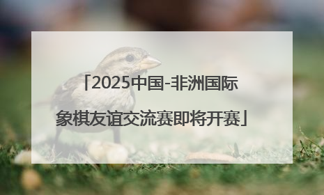 2025中国-非洲国际象棋友谊交流赛即将开赛